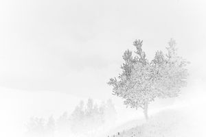 Old as Cold Water 13