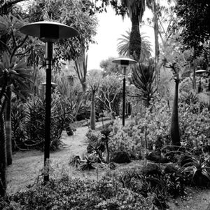 Heaters, Hunting Botanical Gardens