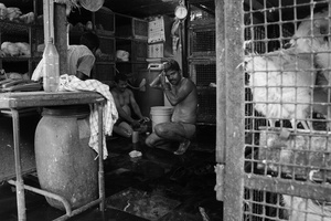 Mumbai, 2013