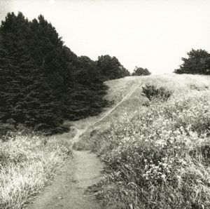 Broken Paths © Erin Malone