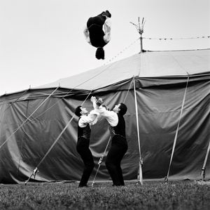 Tumblers, Harlequin Circus