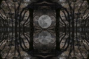 Parallel Universes#1