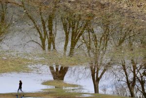 Walking into Spring