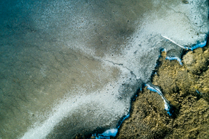 Lakeshore Operations | Ground Level Series #04