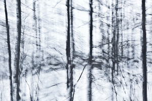 Snow #D78415