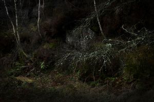 Loch Ardinning 4