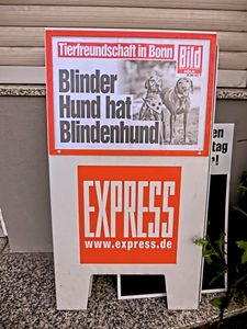 "Blind Dog has a Guide Dog"