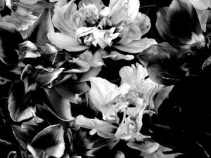 I must have flowers #2