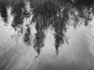 Beside the water II