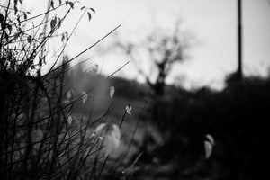 Fade Out
