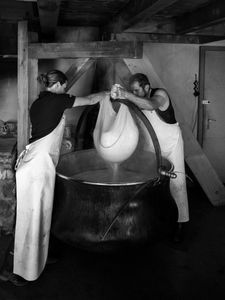 Une histoire de tradition et de transmission n°20