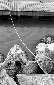 © Flavio Martin Morante
