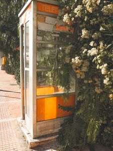 PhoneBooth Terrarium