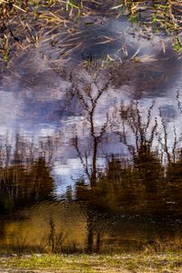 Liquid Sky 07