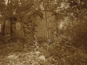 © Mildred Alpern