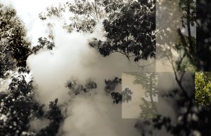 Urban Mist
