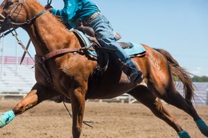 Horse and Rider, Zia Regional Rodeo, Santa Fe, New Mexico 2013