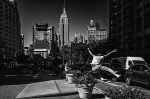 City bird