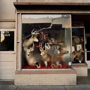 Martinsville, Indiana, 2006 © Phil Bergerson, Stephen Bulger