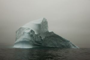 Melt #37