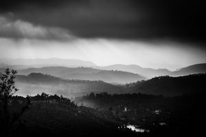 Human & Tiger Conflict