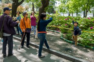 Young Photo Stars 6
