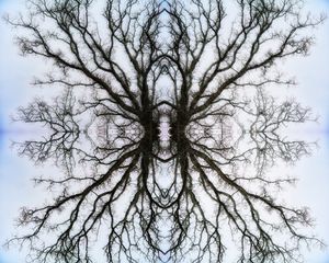 Yggdrasil?