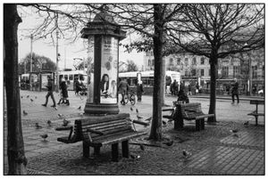 People and birds