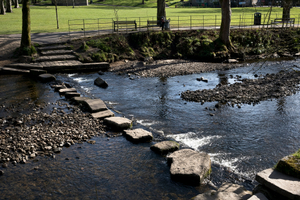 Isolation stepping stones