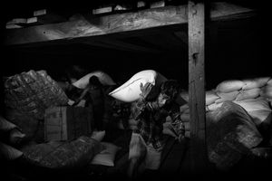 Slaving for Sticks – Port of Yangon, Myanmar
