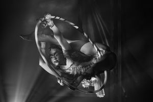 Aerial Art - Elegance - Lucioza
