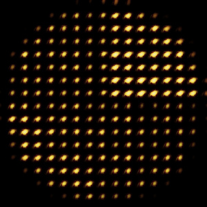 "F\C- 06"