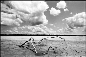 Loneliness