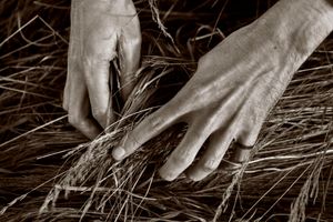 Hands of a nation