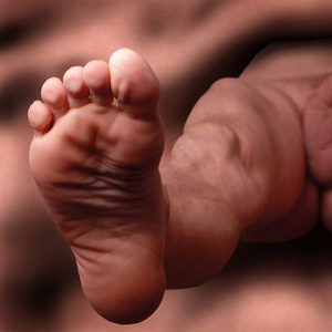 Foot Print R
