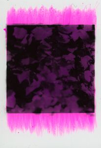Ivy, Ebers Road (Pink)