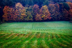Vermont Farm