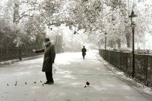 London park