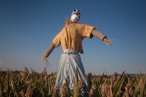SCARECROWS, LAUREN BACALL