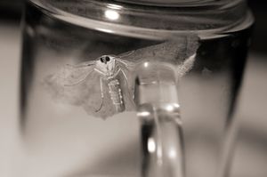 Fragments  #2