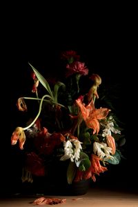 © Kathryn Jago