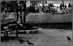sleeping beauty and birds