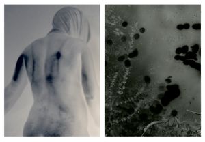 Dissociated #14