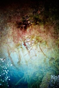 L'été dos au mur 07