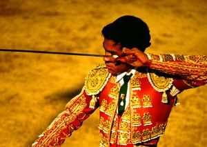Matador, Plaza De Toros, "La Paloma"