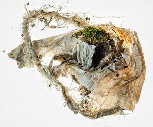 Amalgamated Fragmentations / Plastiverse 8