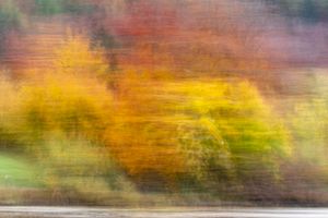Impressioni d'autunno_05