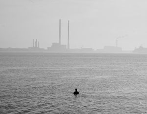 After The Flood