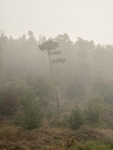 Point Reyes 1