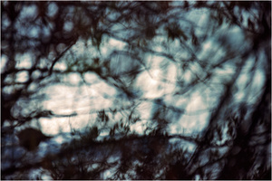 In a Landscape #6